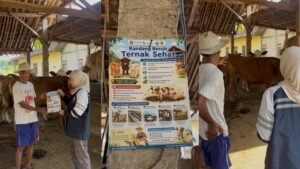 Hijau-dan-Kuning-Ilustrasi-Presentasi-Pentingnya-Imunisasi-1