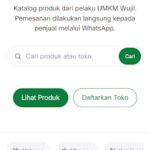 fahmi-m22
